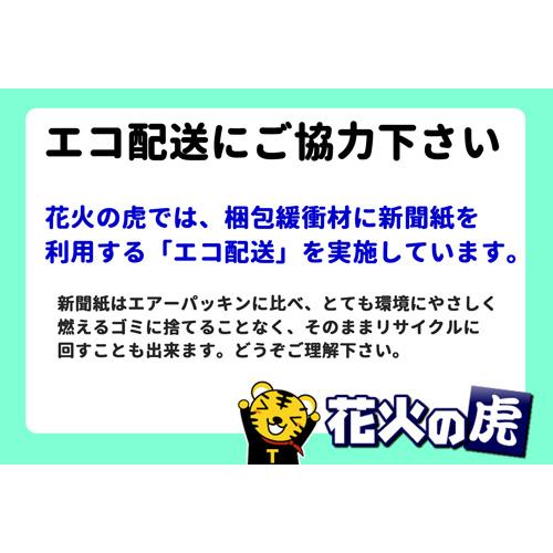 花火の虎厳選手持ち花火セット花火セット 花火 手持ち花火 キャンプ 夏祭り お祭り はなび アウトドア 庭 お盆 御盆 花火大会