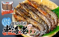 活き〆冷凍 車海老 LLサイズ 300g  鹿児島県産 (養殖)