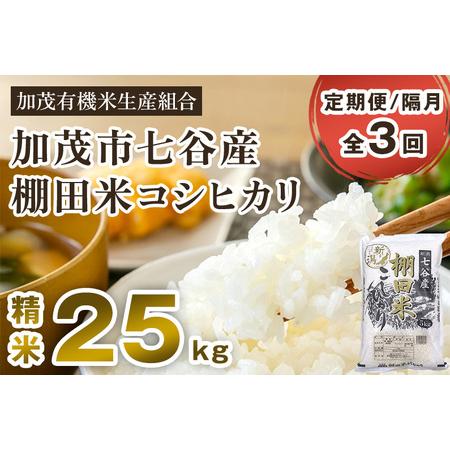 ふるさと納税 新潟県加茂市 七谷産 棚田米コシヒカリ 精米25kg（5kg×5）白米 加茂有機米生産組合 定期便 定期購入 .. 新潟県加茂市