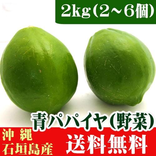 沖縄産　青パパイヤ（野菜）　２ｋｇ（２〜６個）　　送料無料