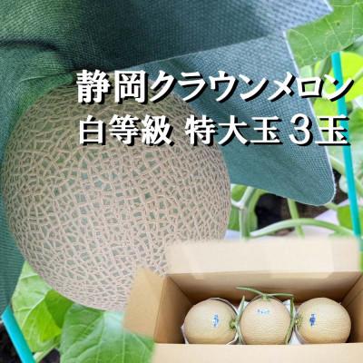 ふるさと納税 森町 クラウンメロン特大玉(1.5kg前後)3玉入り