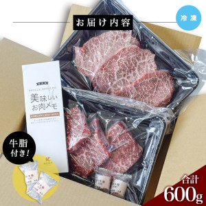 鹿児島県産黒毛和牛(A5等級)赤身ステーキ 合計600g(300g×2パック) 赤身 ステーキ 牛肉A-228