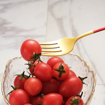 韓式304不鏽鋼長柄餐叉5支入 sin6033 餐具 叉子