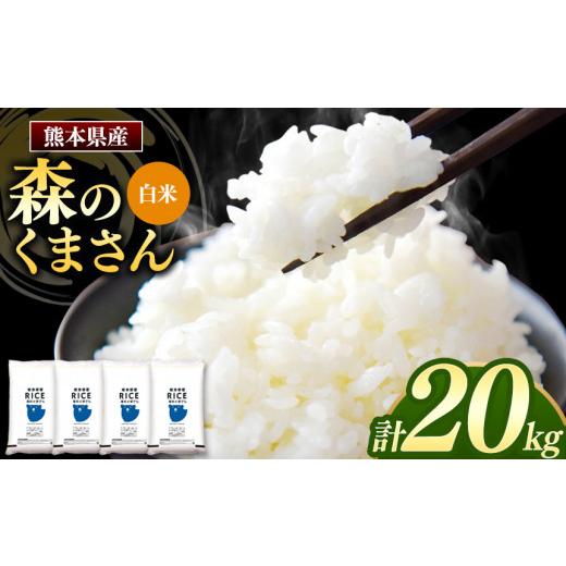ふるさと納税 熊本県 玉名市 森のくまさん 白米 20kg 5kg×4袋