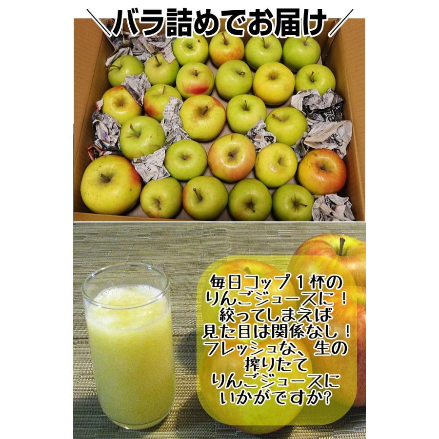 あすつく 青森 りんご 10kg箱 訳あり 加工用 選べる品種 送料無料 あすつく リンゴ 10キロ箱★品種選べる 加 10kg箱