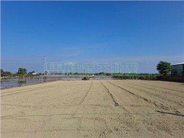 淑貞歸仁大苓段5.5分農地｜台南市歸仁區大苓段