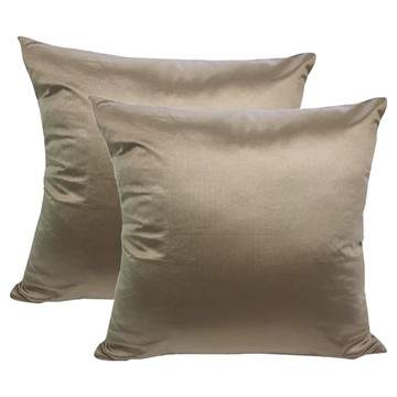 J&N 清麗防潑水抱枕2入組 易清潔 柔軟舒適棉芯 簡約百搭設計  45 x 45cm  咖啡色