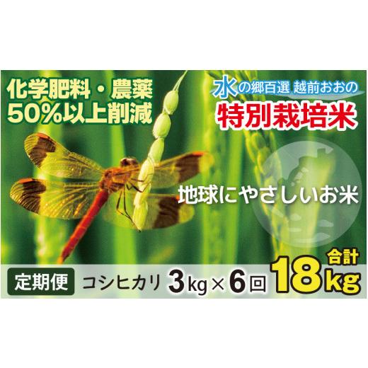 ふるさと納税 福井県 大野市 こしひかり 3kg × 6回 計 18kg減農薬・減化学肥料「特別栽培米」−地球にやさしいお…