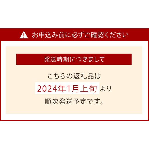 ふるさと納税 福岡県 北九州市 2〜3L さがほのか15粒