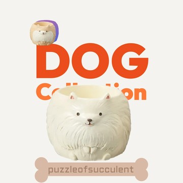 【拼肉肉】肉肉動物園-日本進口博美植物盲盒X2 每色各1（植物隨機出貨，三吋盆穩根）