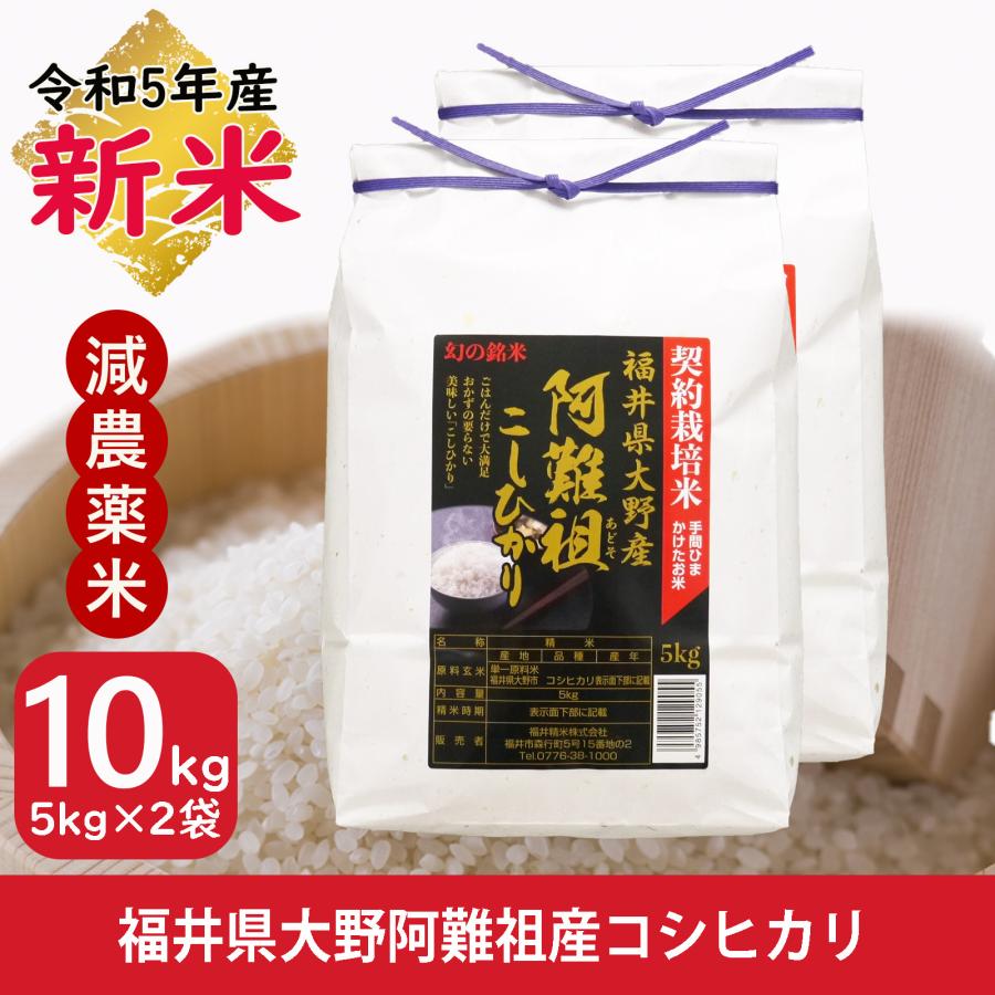 新米 米 コシヒカリ 10kg 5kg×2袋 福井県大野阿難祖産 白米 送料無料 令和5年産