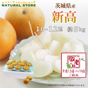 [最短順次発送]   新高 和梨 約5kg 10-12玉 茨城県産 秋ギフト  果実ギフト