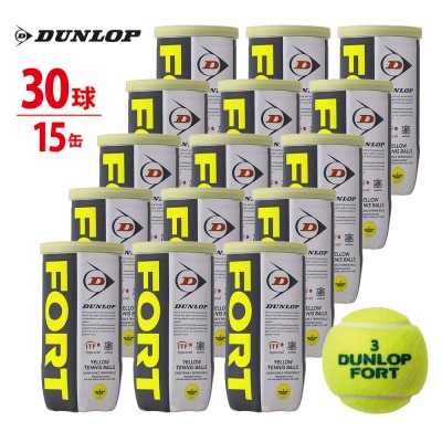 【新品未使用】ダンロップ　DUNLOP FORT テニスボール　2個×30缶