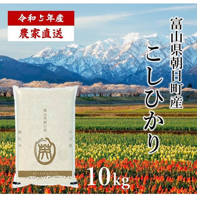 令和5年産 富山県朝日町産 こしひかり 10kg 白米 農家直送 送料無料