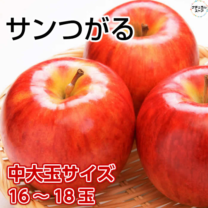 [最短順次発送]  サンつがる １６玉-２０玉（中大玉） ５kg箱 りんご 長野県産 青森県産