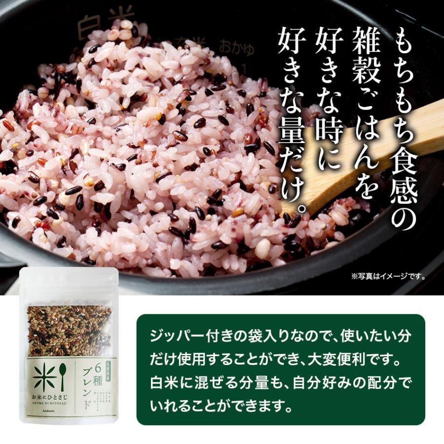 お米にひとさじ 久留米産 6種ブレンド 65g 雑穀米