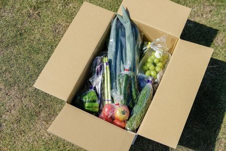 直売所みなみの里厳選　旬の野菜・果物セット