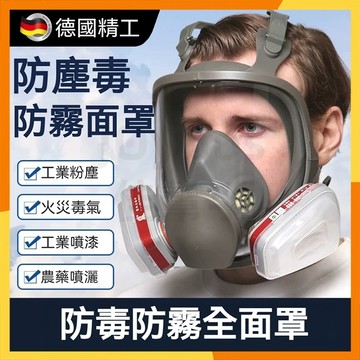 🔜火速寄出🔜全罩式防毒面具 3m防毒面罩 防毒口罩 噴漆面具 防煙面罩 多功能防毒面罩 濾毒面具 6800防塵防塵面具