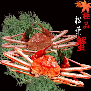 【海之醇】日本北海道熟凍整隻正松葉蟹-2隻(500-600g/隻)
