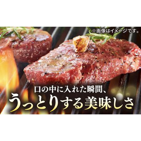 ふるさと納税 極上 壱岐牛 A5ランク ステーキセット （ヒレ 200g × 2枚 サーロイン 350g × 2枚）  雌 《 壱岐市 》【 .. 長崎県壱岐市