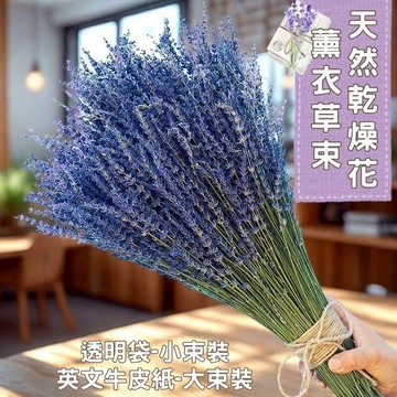 🔥快速出貨🔥長梗英國藍薰衣草 乾燥花 薰衣草 花束 天然 芳香 療癒 限時特賣 畢業花束 可做香包 插花 滿天星 捧花