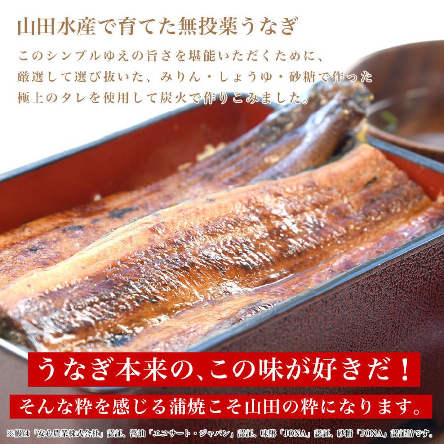 鹿児島県産　山田水産の極上国産うなぎ蒲焼「山田の粋（やまだのいき）」（大型サイズのカット真空80g×5枚）　送料無料　鰻蒲焼　ウナギ