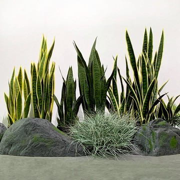 虎皮蘭仿真植物假植物盆栽商場店鋪家居植物擺件櫥窗造景裝飾綠植