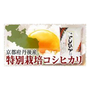 新米令和5年度産　　特A受賞　 京都府丹後産特別栽培コシヒカリ５キロｘ2