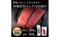 天然本鮪 中トロ500g・赤身200g 合せて700g 赤身と中トロのセット 赤身 トロ マグロ まぐろ 本まぐろ 刺身 刺し身 魚 海鮮 天然 冷凍 美味しい おいしい 故郷納税 ふるさとのうぜい 返礼品 高知県 高知 35000円