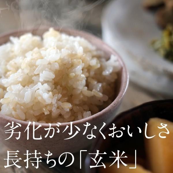 玄米 お米 新米 玄米(減農薬)コシヒカリ(2kg) 令和2年度産 完全栄養食 2kg