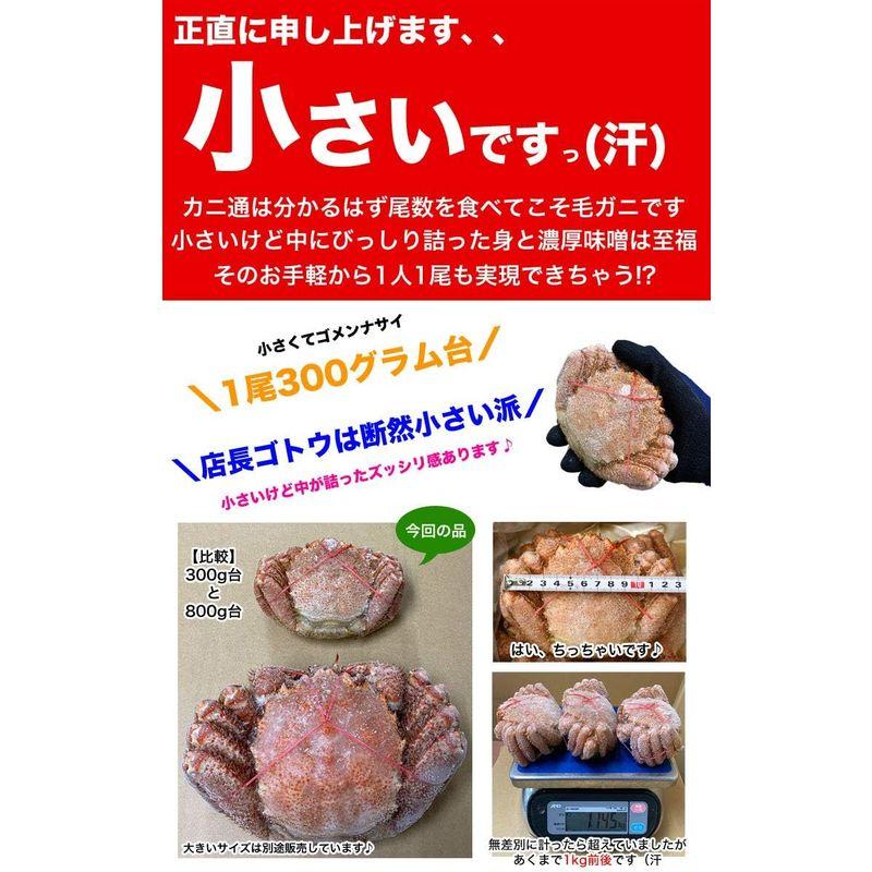 毛ガニ 3尾 合計1kg前後 北海道産 国産［カニ味噌 毛蟹 ボイル みそ かに カニ 蟹 kegani けがに 毛がに kani crab