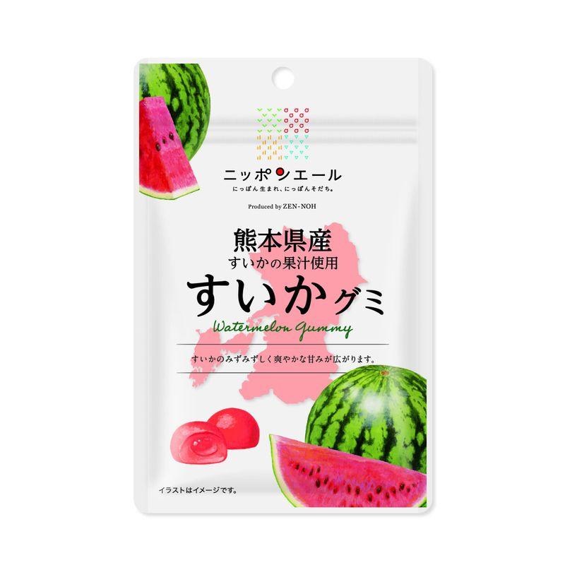 カバヤ食品 かき氷グミ すいかグミ まとめ売り - 菓子