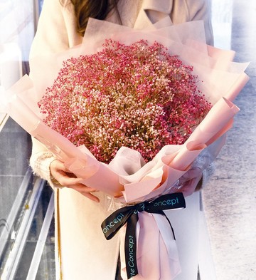 繁星漫天 | 乾燥花