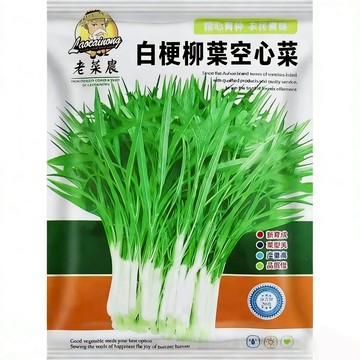【台灣在地品種】原裝白梗空心菜種子｜粗梗脆嫩 大火快炒最對味｜耐熱快長 夏天最強蔬菜｜陽台盆種 新手免煩惱｜現貨 附種植