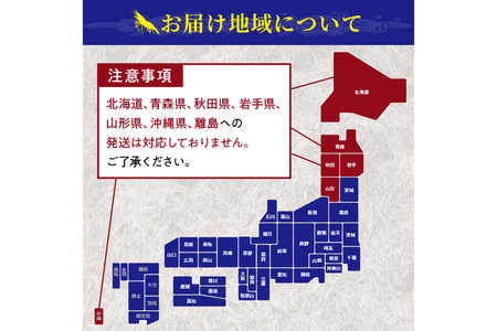 車海老／生きたまま直送！京都・丹後の活きくるまえび 800g（26〜40尾）活 車海老をご自宅に！車海老 刺身 大きめ 生 車海老 生食用