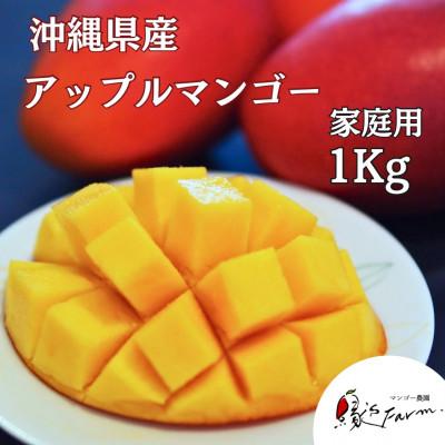 ふるさと納税 糸満市  縁’sファームのアップルマンゴー 家庭用 1kg