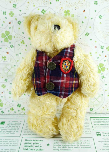 【震撼精品百貨】日本日式精品 熊 Bear 絨毛玩偶-格子背心 震撼日式精品百貨