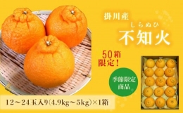 ５２０３　掛川産・不知火（シラヌヒ)１２～２４玉×1箱・約4.９ｋｇ～５ｋｇ　令和６年２月中旬からの発送（ギフト しらぬい）マルケン大石農園