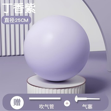 【哆哆購】台灣出貨 普拉提迷你瑜珈球 平衡球 韻律球 普拉提小球25cm瑜伽球盆底肌小球訓練加厚防爆健身平衡瑜伽球翹臀