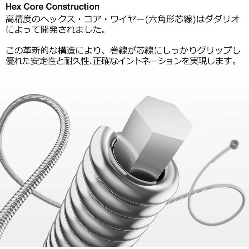 D'Addario D Addario ダダリオ ベース弦 ニッケル Long Scale .045-.100 2setパック x EXL170TP