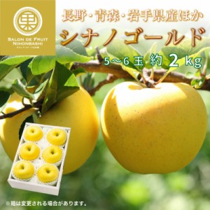 [予約 12月1日-12月20日の納品] シナノゴールド 約2kg 5-6玉 大玉 長野 青森 岩手県産他 りんご 冬ギフト お歳暮 御歳暮