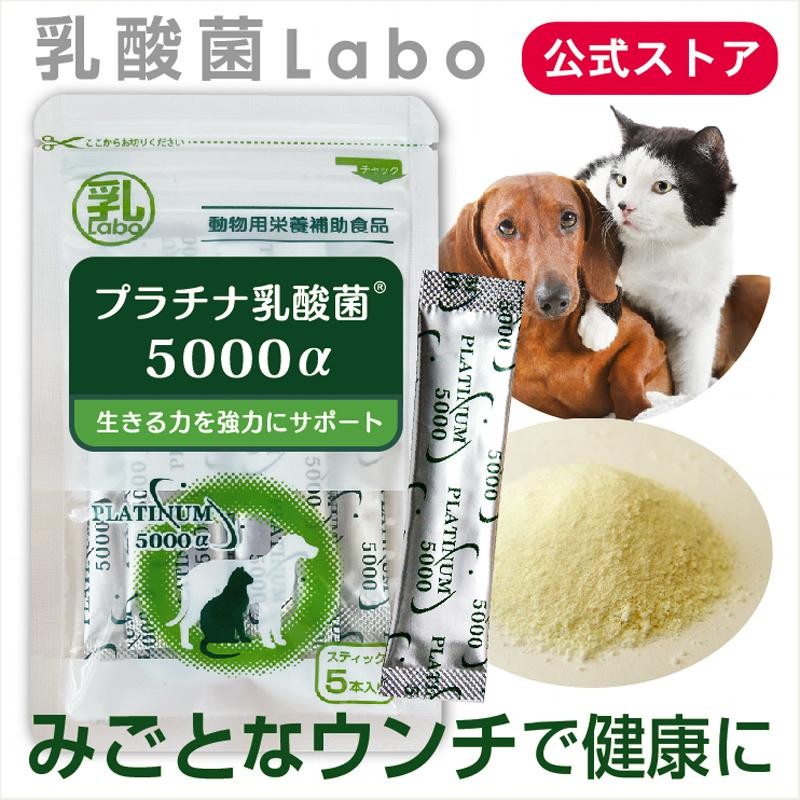 送料込み！ プラチナム ドッグフード 成犬用 イベリコ＋グリーン 5kg