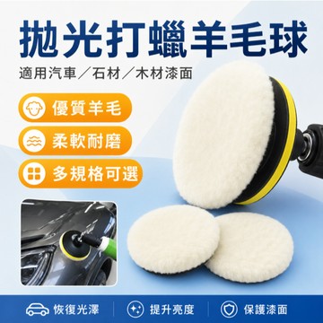 台灣現貨🎉羊毛球拋光盤 魔鬼氈 羊毛片 打蠟機 氣動拋光機 洗車打蠟 拋光 純羊毛盤 5吋黏扣式 澳洲進口純羊毛球