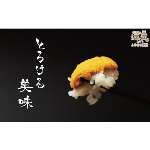 ふるさと納税 北海道 江差町 北海道 江差前浜産 生うに 500g（100g×5パック）江差産天然キタムラサキウニ　…