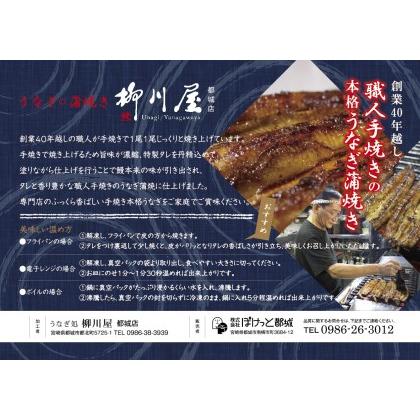 ふるさと納税 鰻専門店・職人手焼きの本格うなぎ蒲焼き2尾_MJ-3305_(都城市) 国産 本格 うなぎ 鰻 蒲焼 宮崎 柳川屋 宮崎県都城市