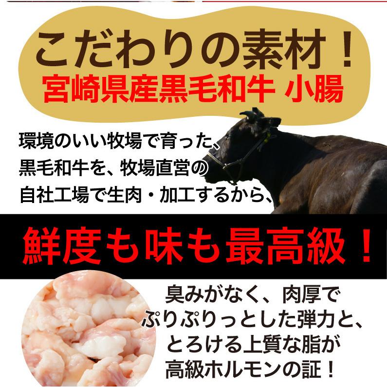 黒毛和牛 ホルモン 焼き肉 小腸 味噌だれ漬け 600g 宮崎県産 送料無料 BBQ おつまみ おかず クール便