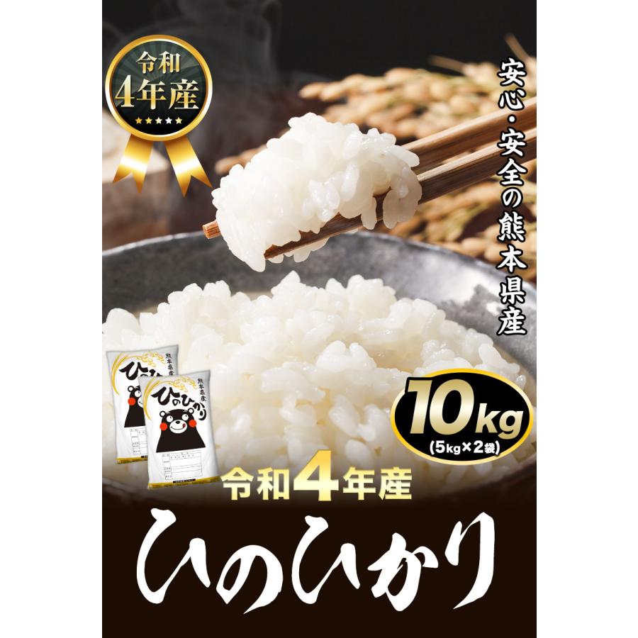 令和4年産 ひのひかり 10kg (5kg ×2袋)  米10kg 米 10kg お米 送料無料 熊本県産  精米 白米《1-5営業日以内に発送予定(土日祝日除く)》