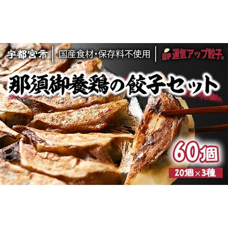 ふるさと納税 宇都宮餃子　鶏餃子　3種類味比べ(合計60個)保存料不使用 栃木県宇都宮市