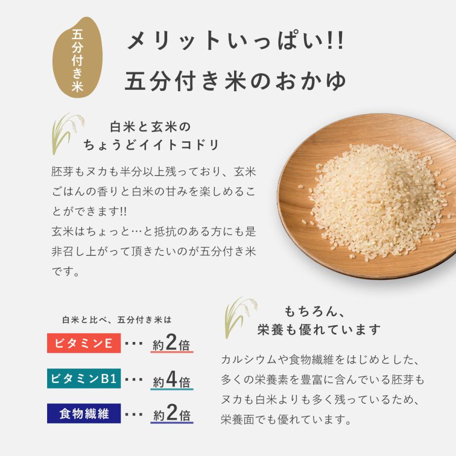 おかゆ お粥 レトルト 6個セット 長期保存 雑炊 無添加 有機米 セット ダイエット食品 健康食品