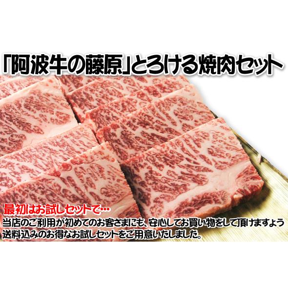 焼肉 黒毛和牛「極み」とろける焼肉セット 250g（２人前）（松） 焼き肉 お試しセット 送料無料